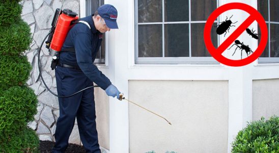 Uludere Bit İlaçlama böcek ilaçlama ve haşere kontrolü — ilaclama-tr.com